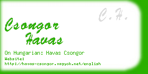 csongor havas business card
